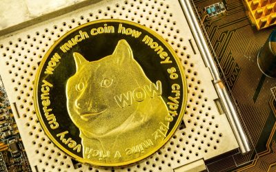 Best places to buy Dogecoin, the reigning champion of dog-themed meme coins