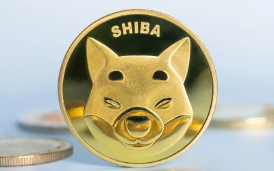 Shiba Inu (SHIB) leads other meme coins in gains as the crypto market opens Monday on the rise