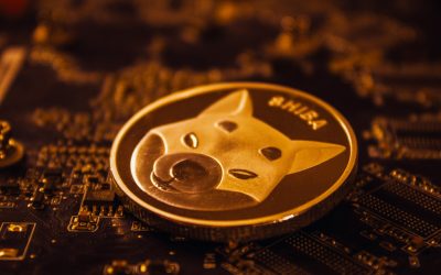 Shiba Inu price jumps 50% over the past week: here are the factors fuelling the rally