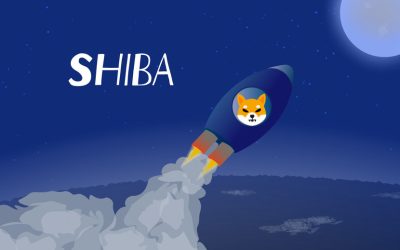 Shiba Inu rallies after Foxbit listing