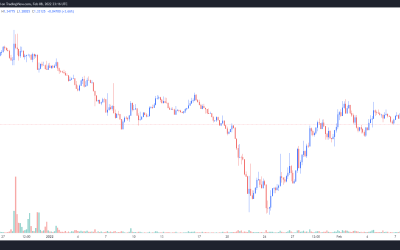 Trader Joe (JOE) makes a 110% V-shaped recovery after Rocket Joe launch