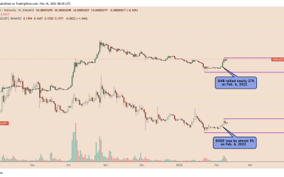 Top dogs: Newbie Shiba Inu bites back, gains 25% vs. Dogecoin in February