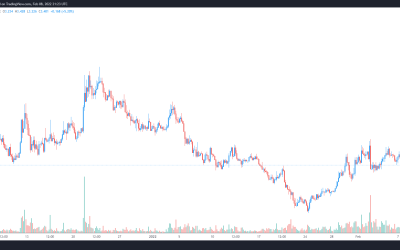 RNDR, NFTX and YGG bounce higher as the market rewards projects focused on utility