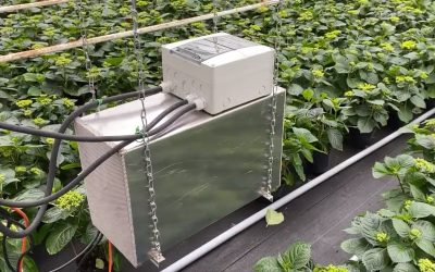 Flower powered: Bitcoin miner heats greenhouses in the Netherlands