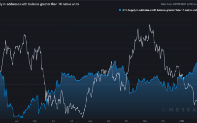 Bitcoin ‘whales’ and ‘fishes’ pause accumulation as markets weigh March 50bps hike odds