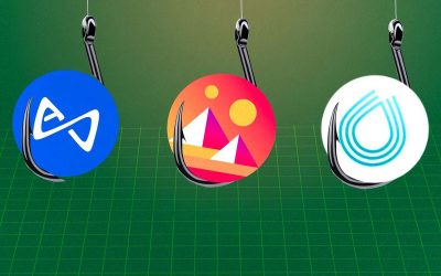 How the 'Big Short DAO' Bet Against the Crypto Market and Won