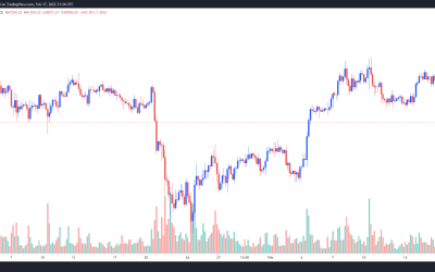 Bitcoin bulls scramble to defend $40,000 as the crypto market sell-off intensifies