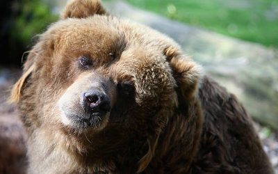 First Mover Asia: Investors Flee Crypto, Higher Risk Assets on Mounting Ukraine Tensions