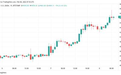 Bitcoin rebound hits $45.5K as focus switches to future support retests