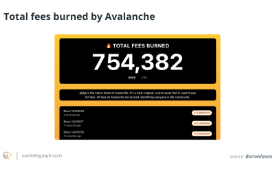 What is Avalanche Network (AVAX) and how does it work?