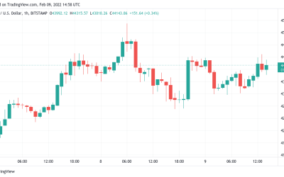 Bitcoin centers on $44K as BTC price MACD delivers long-awaited bull signal