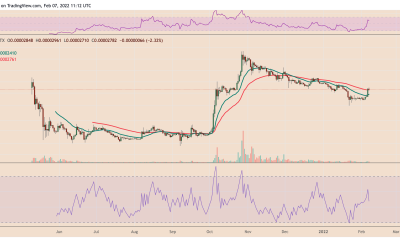 Is Shiba Inu overheating after SHIB price gains 75% in two weeks?