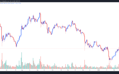 NEO price climbs after China’s BSN gives the project the green light on NFT marketplaces