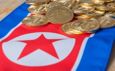 Cryptocurrency Theft Remains Key Revenue Source for North Korea, UN Report Says