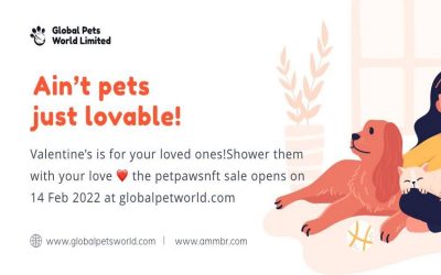 Global Pets World: An Experience for Pet Owners in the Real World and the Metaverse