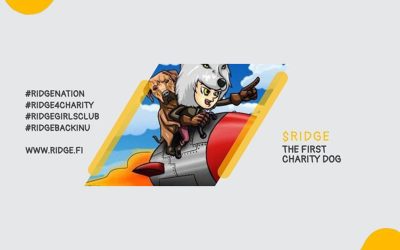 A Team of Experienced Crypto Enthusiasts Launch RIDGE Charity Token