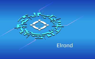You can now buy Elrond, which added a tenth to its value: here’s where