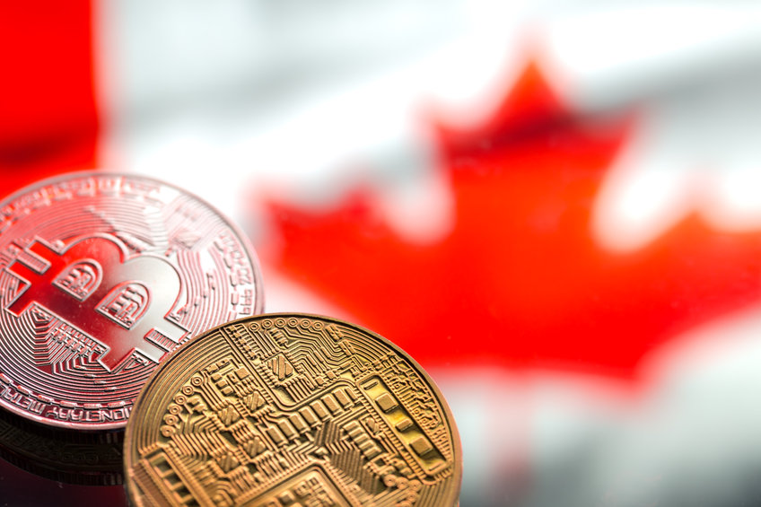 Canada’s pre-budget committee told how a business turned to Bitcoin to beat inflation