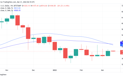 ‘No more 4-year cycles’ — 5 things to know in Bitcoin this week