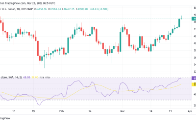 Buy pressure ‘in bull market territory’ — 5 things to know in Bitcoin this week