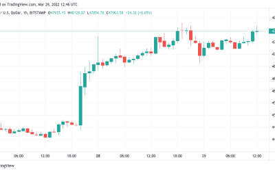 Bitcoin hits 2022 high as analyst gives new $80K BTC price target