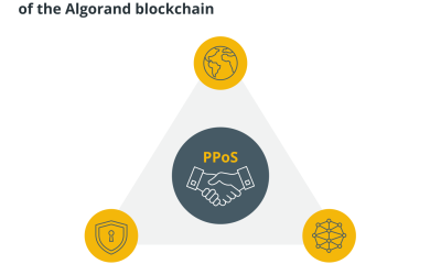 What is the Algorand blockchain, and how does it work?