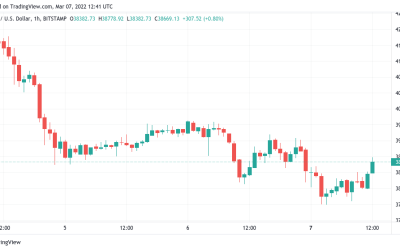 Bitcoin steadies as gold hits $2K, US dollar strongest since May 2020