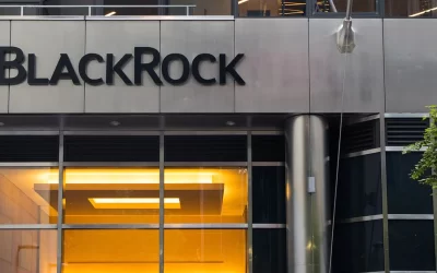 BlackRock's Fink Says Ukraine War Could Accelerate Crypto Adoption: Report