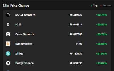 IOST, SKALE Network and CELR gain 30% as traders call for an altseason