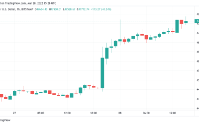 Bitcoin price could return to all-time highs if $46K holds — analysts