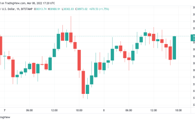 Bitcoin stems losses after US bans Russian oil, gold heads to record highs