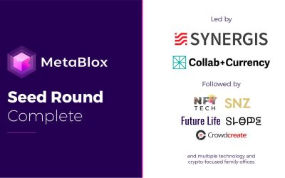 MetaBlox Concluded the Seed Round, Plans for the Future
