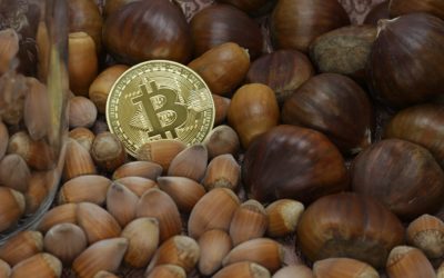 US Fintech Firm Acorns Adds Crypto Exposure Investing via Proshares Bitcoin ETF