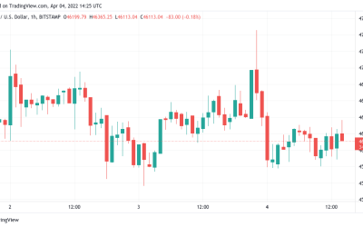 Bitcoin dices with $46K as Elon Musk Twitter buy sends Dogecoin near 2-month highs