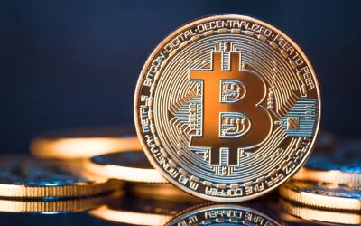 7 days of consecutive losses push Bitcoin Towards $20000