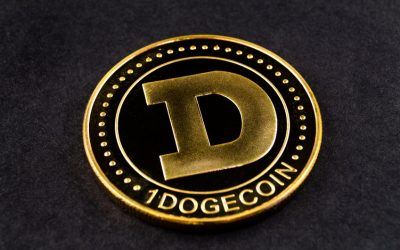 Top places to buy Dogecoin, which gained 7% in 24 hours