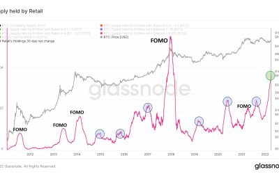 Bitcoin retail FOMO spiked most since 2017, but BTC price may still be ‘doomed’ — analyst