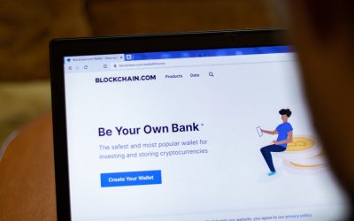 There’s more crypto destruction to come, says Blockchain.com CEO