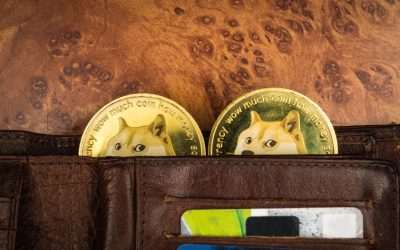 Robinhood CEO: DOGE can become the ‘currency of the internet’