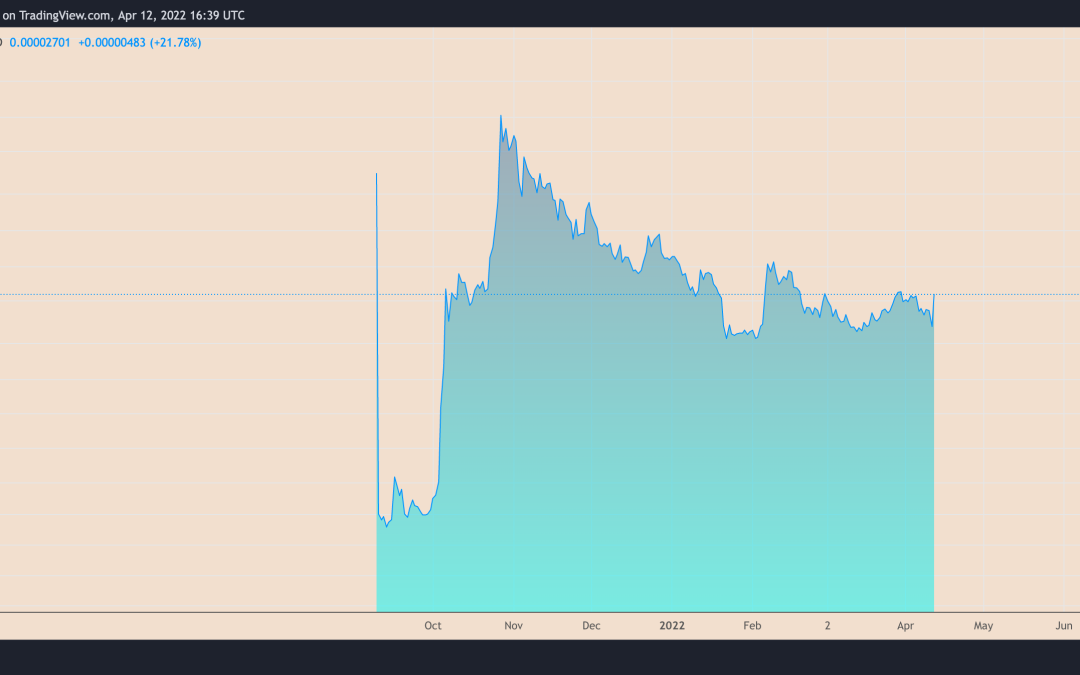 Shiba Inu price soars 35% in one day as Robinhood lists SHIB for trading