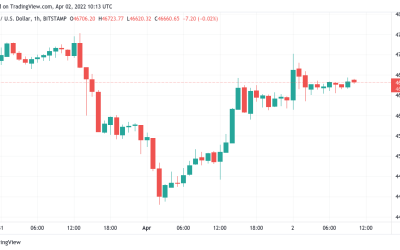 Bitcoin regains yearly open as trader says $50K next week ‘might be likely’