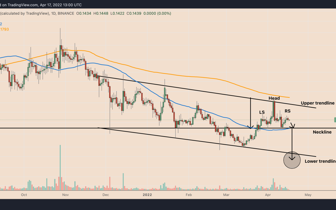 DOGE price analysis hints at 30% drop despite Elon Musk’s Twitter bid