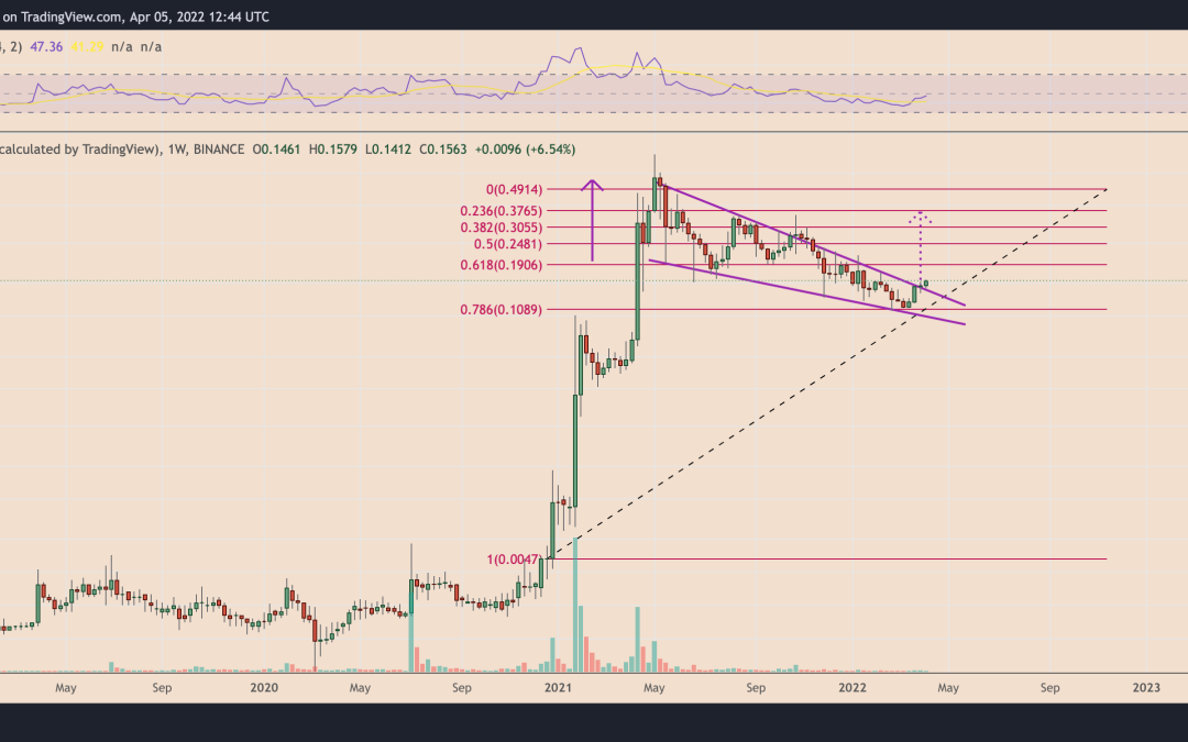 Elon Musk’s Twitter investment puts a 150% rally into play for Dogecoin