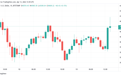 Bitcoin bounces to near $41K after crypto sentiment gauge hits 6-week lows