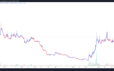 Opulous (OPUL) price soars after DeFi staking announcement, S-NFT sale and CEX listings