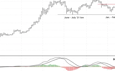 Bitcoin Holds Support Above $44K; Resistance at $48K-$51K