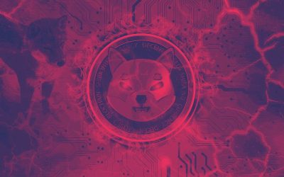 Speculative SHIB Market Sees Increased 'HODLing'
