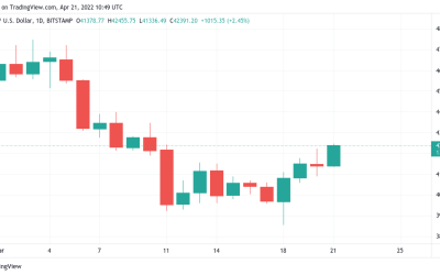 Bitcoin heads for 2-week highs as Terra promises BTC price will soon ‘get spicy’