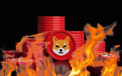 Shiba Inu’s New Burn Portal Rewards SHIB Burners for Destroying Their Tokens