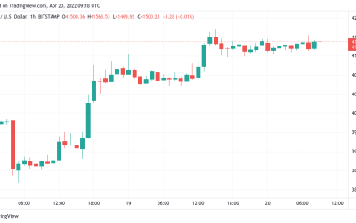 Bitcoin ‘buy’ signal excites as dollar, gold extend losses, BTC price heads past $41.5K